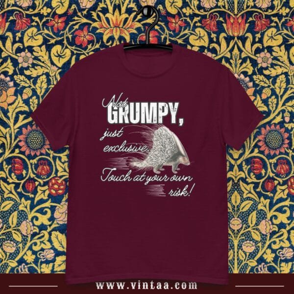 Not grumpy, just exclusive. Touch at your own risk - Image 4