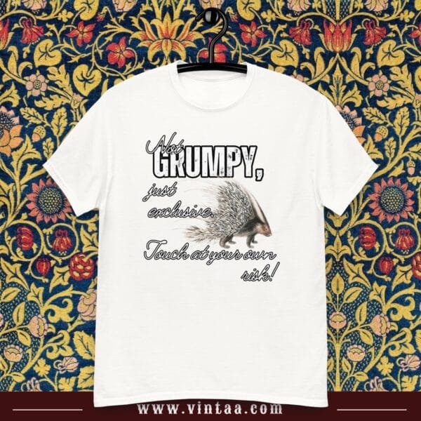 Not grumpy, just exclusive. Touch at your own risk - Image 3